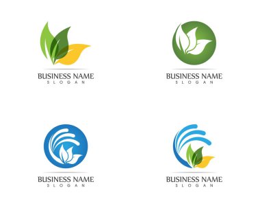 Doğa yaprağı logosu tasarımı kavramı