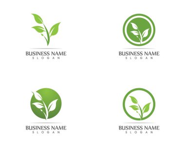 Doğa yaprağı logosu tasarımı kavramı
