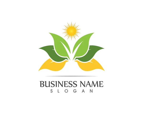 Nature Leaf Logo Design Concept — Stock Vector