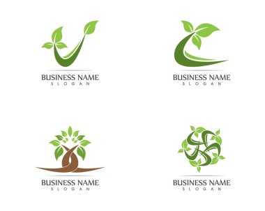 Doğa bitkisi logo tasarımı konsepti