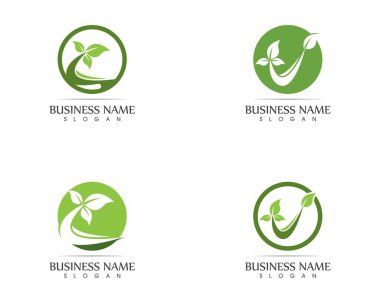 Doğa bitkisi logo tasarımı konsepti