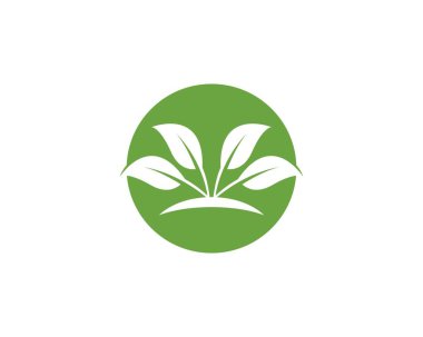 Doğa bitkisi logo tasarımı çizimi