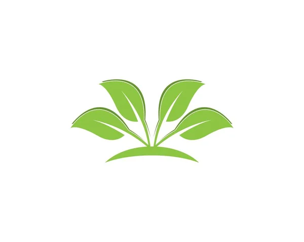 Illustration Naturens Växtlogotyp — Stock vektor