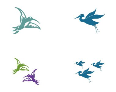 Vektör kuş logo şablonu