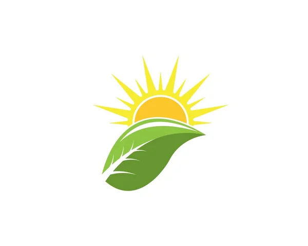 Modèle Logo Icône Vectorielle Soleil — Image vectorielle