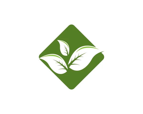 Natur Blad Logotyp Design Mall — Stock vektor