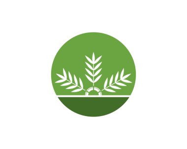 Bambu yaprağı logo vektörü