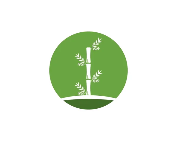 Bambublad Ikon Logotyp Vektor — Stock vektor