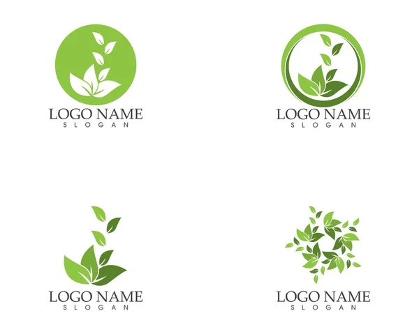 Doğa Yaprak Logosu Tasarım Şablonu