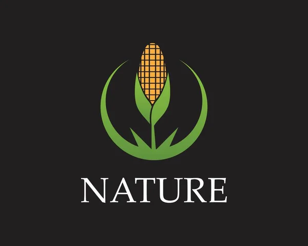 Corn Nature Industry Logo Vector Illustration — Stock Vector