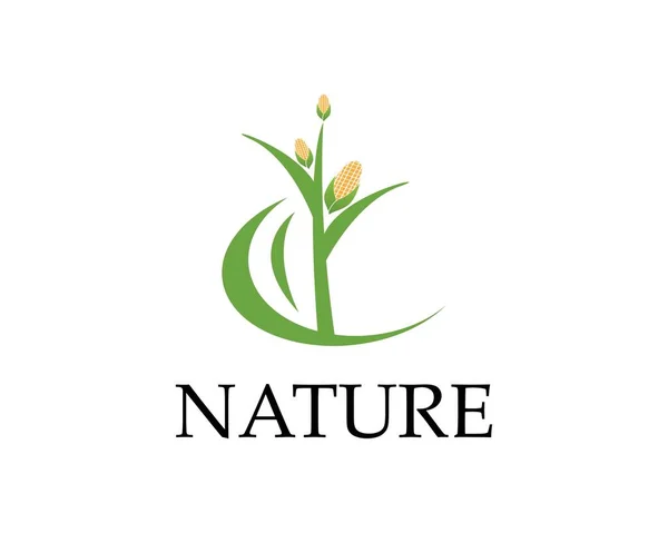 Mais Natur Industrie Logo Vektor Illustration — Stockvektor