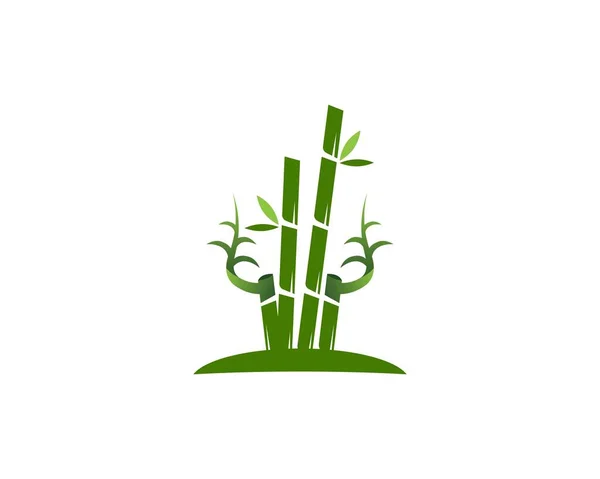 Bambu Ikon Spa Logotyp Design Vektor Illustration — Stock vektor