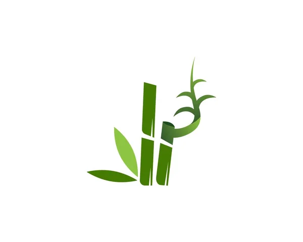 Bambu Ikon Spa Logotyp Design Vektor Illustration — Stock vektor