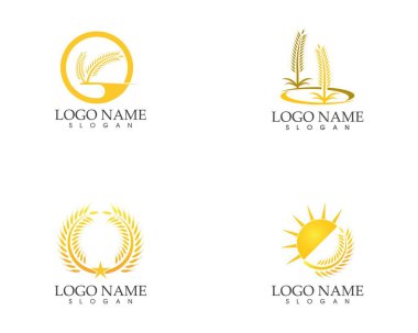 Pirinç buğday simgesi logo vektör illüstrasyonu