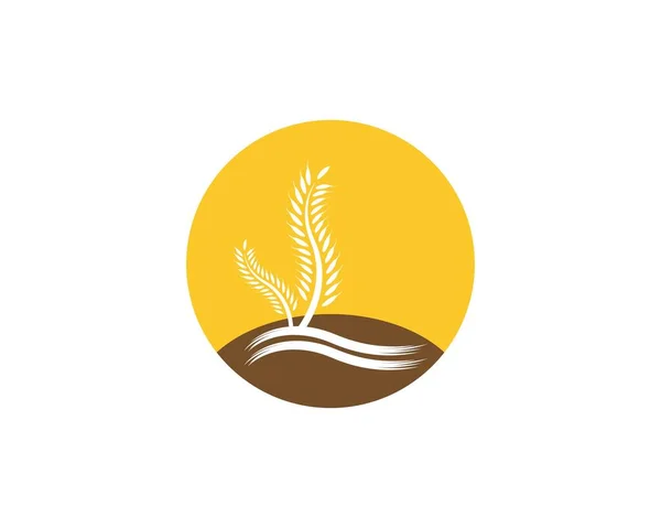Шаблон Векторного Логотипу Пшениці — стоковий вектор