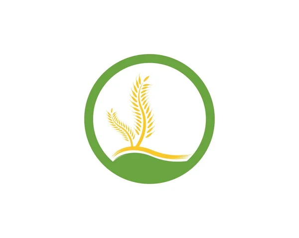 小麦ロゴベクトルテンプレート — ストックベクタ