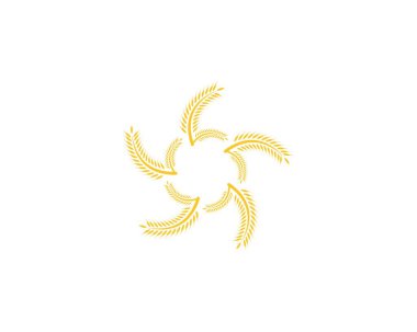 Buğday pirinç tarımı logo vektör şablonu
