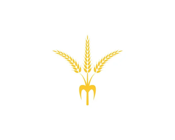 Trigo Arroz Agricultura Logotipo Vector Plantilla — Vector de stock