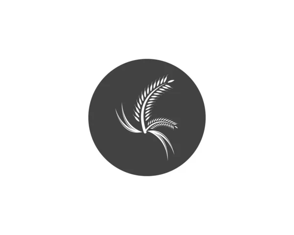 コムギ米農業ロゴベクトルテンプレート — ストックベクタ