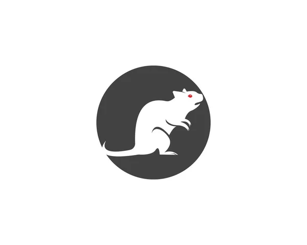 Ratte Silhouette Logo Design Grafik — Stockvektor