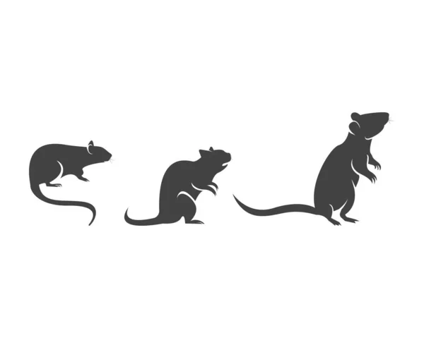 Szczurza Sylwetka Logo Projekt Graficzny — Wektor stockowy