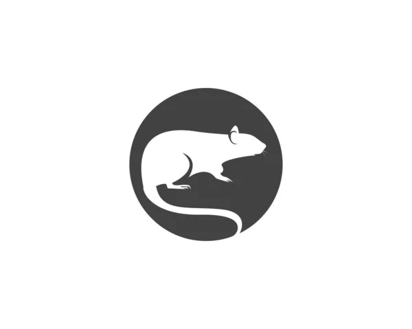 Ratte Silhouette Logo Design Grafik — Stockvektor