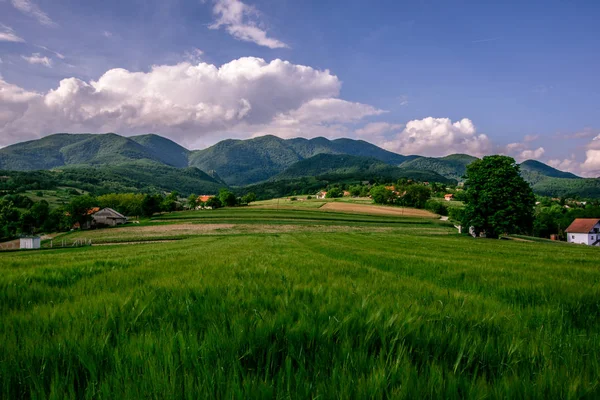 Landschaft Ansicht Einer Grünen Landwirtschaft Felder Mit Blauem Himmel Und — Stockfoto