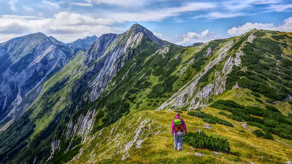 Güney yan görünümü bir alpinist zirveye yürüyüş ve dağ tepe Sija manzara. Julian Alps, Bohinj, Slovenya, Avrupa'nın yaz.