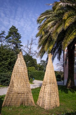 Ahşap bambus koruma ile kaplı palm bitki görünümünü kapatın. Soğuk gece korumalı. Bahar Opatija, Hırvatistan.