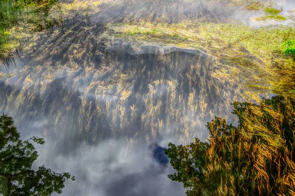 Close Van Bovenaf Stroom Van Rivier Groene Planten Inline Met — Stockfoto