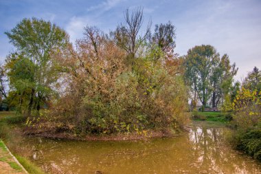 Çok ağaç su ile çevrili ile renkli ada manzaralı