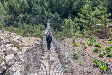 Bir giriş için asma köprü manzaralı. Bir alpinist köprüden geçiyor. Sagarmatha (Everest) Milli Parkı, Nepal.