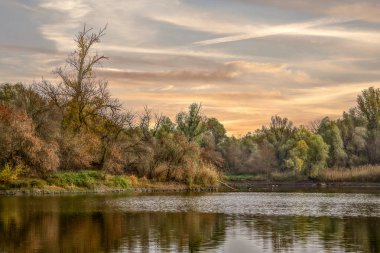 Ağaçlar içinde belgili tanımlık geçmiş ve nehir manzaralı. Sonbaharda Kopacki rit Doğa Parkı (Amazon Avrupa), Hırvatistan.