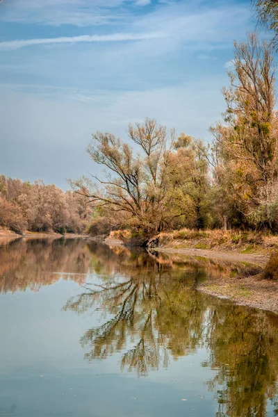 Retrato Vista Del Río Los Árboles Fondo Otoño Kopacki Rit —  Fotos de Stock