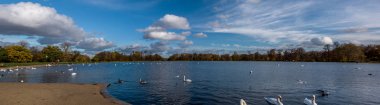 Hyde Park serpantin Gölü manzaralı. London, Büyük Britanya.