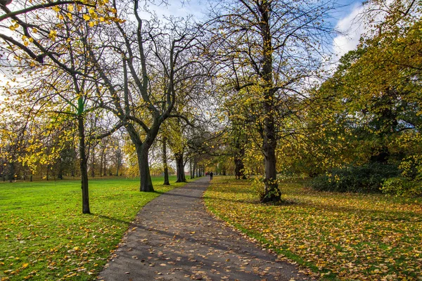 Yaya yolunun Hyde Park manzaralı. Bazı insanlar içinde yürüme. London, Büyük Britanya.