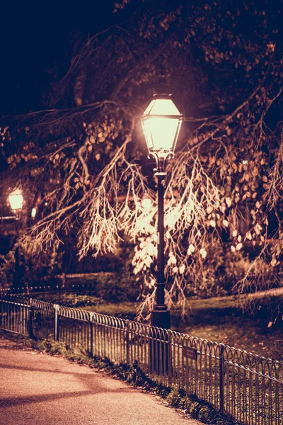 Close up view of street lamp in park. Night in Brighton,  United Kingdom.