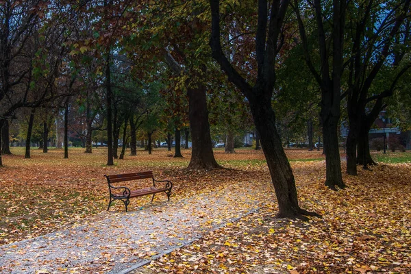 Vista paisagem de um banco no parque colorido. Outono no — Fotografia de Stock