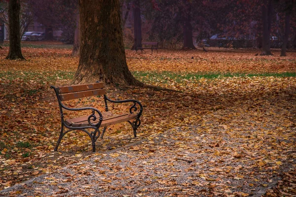 Vista paisagem de um banco no parque colorido. Outono no — Fotografia de Stock