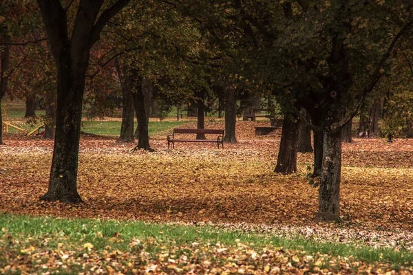 Vista paisagem de um banco no parque colorido. Outono no — Fotografia de Stock