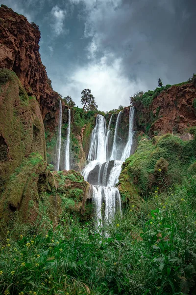 Een bottom-up uitzicht op waterval omgeven door groen gras — Stockfoto