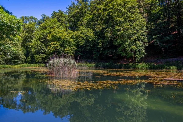 Landscape View Artificial Lake Bush Middle Picnic Area Jankovec Nature — Stock Photo, Image