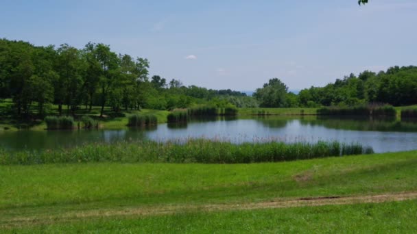 Panorama Ljeskove Vode Lago Floresta Verde Céu Azul Fundo Área — Vídeo de Stock