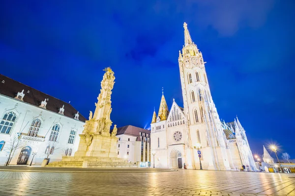 Budapest Hungary 2017 마티아스 Matthias Church 가톨릭 교회로 어부의 그것은 — 스톡 사진