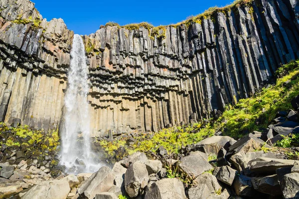 Cascada de Svartifoss con columnas de basalto en Islandia — Foto de Stock