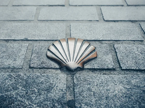 Way James Scallop Shell Symbol — Stock Photo, Image