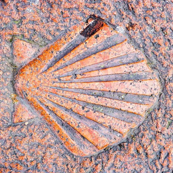 Way James 2016 Shot Granite Scallop Shell Symbol Square Outdoor — Stock Photo, Image