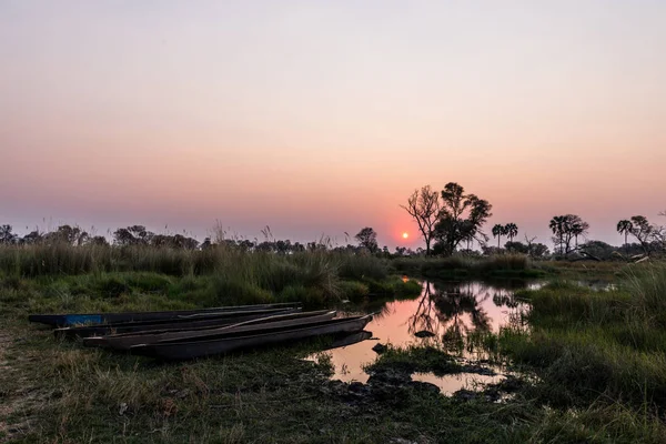 Zachód słońca w delcie Okawango — Zdjęcie stockowe