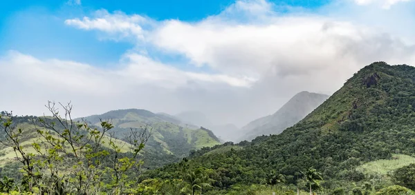 Rainforest in Paraty, Brazil — Stock Photo, Image