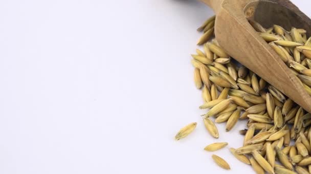 Porción Avena Entera Con Cuchara Madera Girando Sobre Fondo Blanco — Vídeo de stock